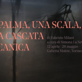 Fabrizio Milani - Una palma, una scala ed una cascata meccanica