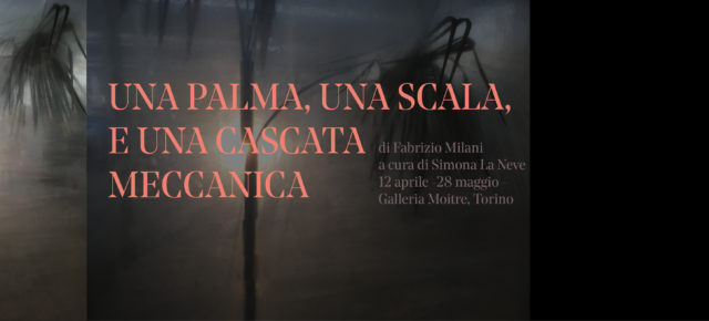 Fabrizio Milani - Una palma, una scala ed una cascata meccanica